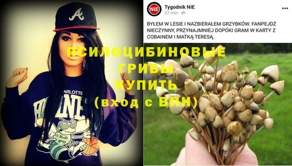 гидропоника Верея