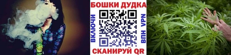 Бошки Шишки тримм Санкт-Петербург