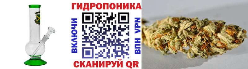 гидра как войти  Санкт-Петербург  Марихуана гибрид 